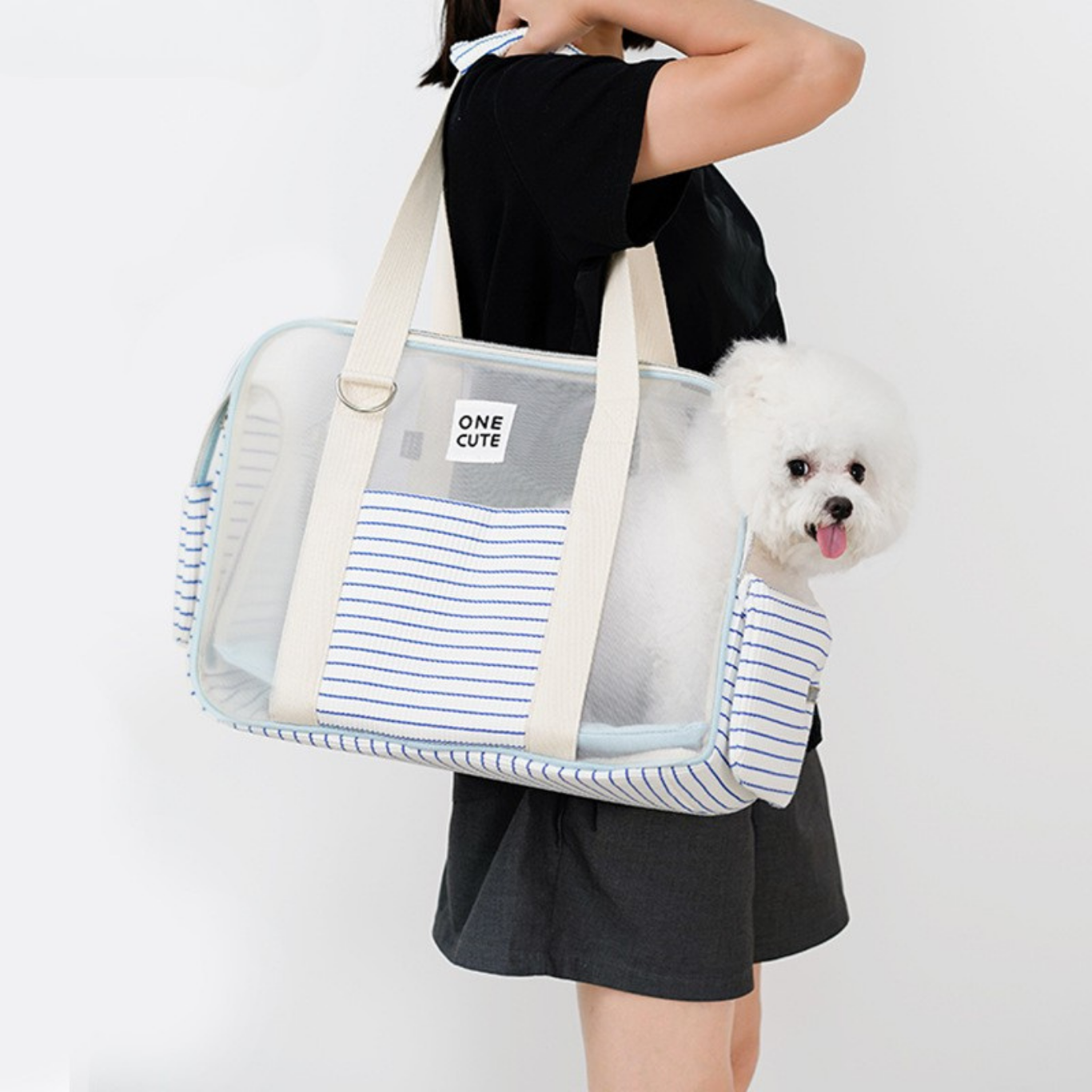 Summer 💦 Pet Carrier Bag