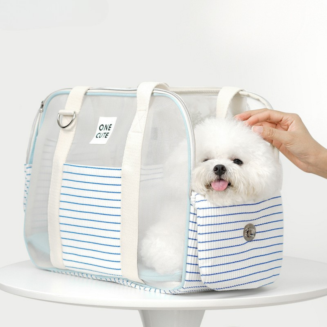 Summer 💦 Pet Carrier Bag