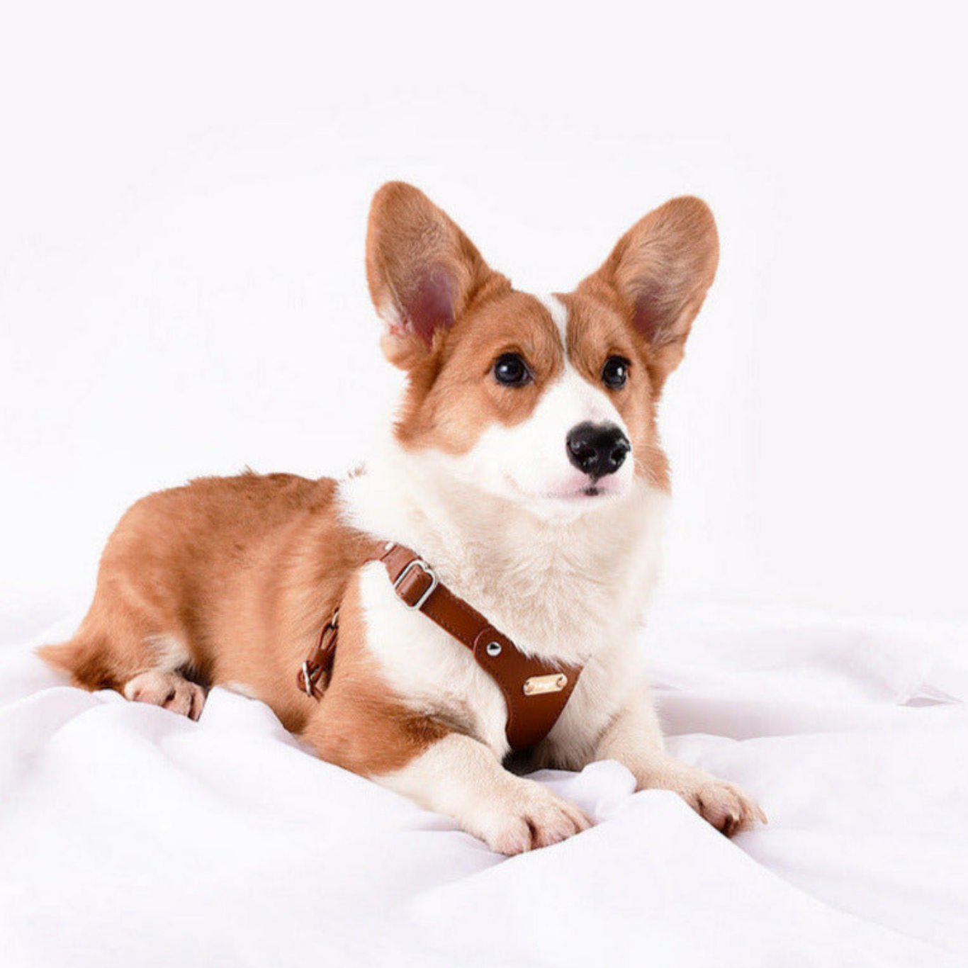 Princess Mia <3 Vegan Leather Harness