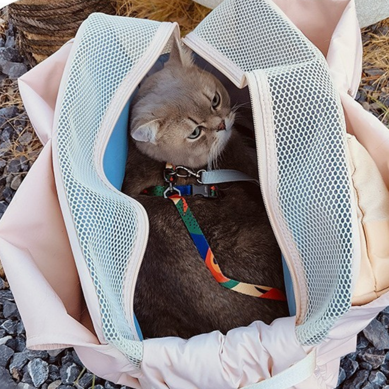 Soft and Sweet ๐ Pet Tote Bag