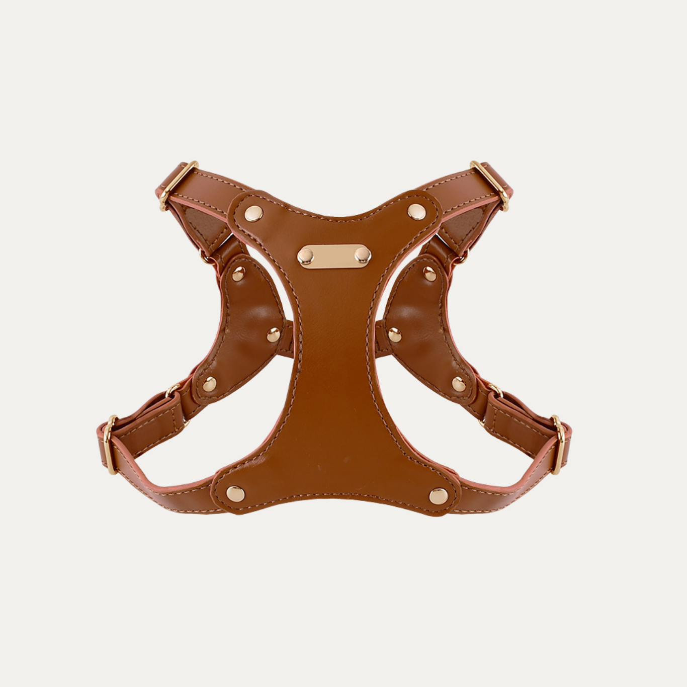 Princess Mia <3 Vegan Leather Harness