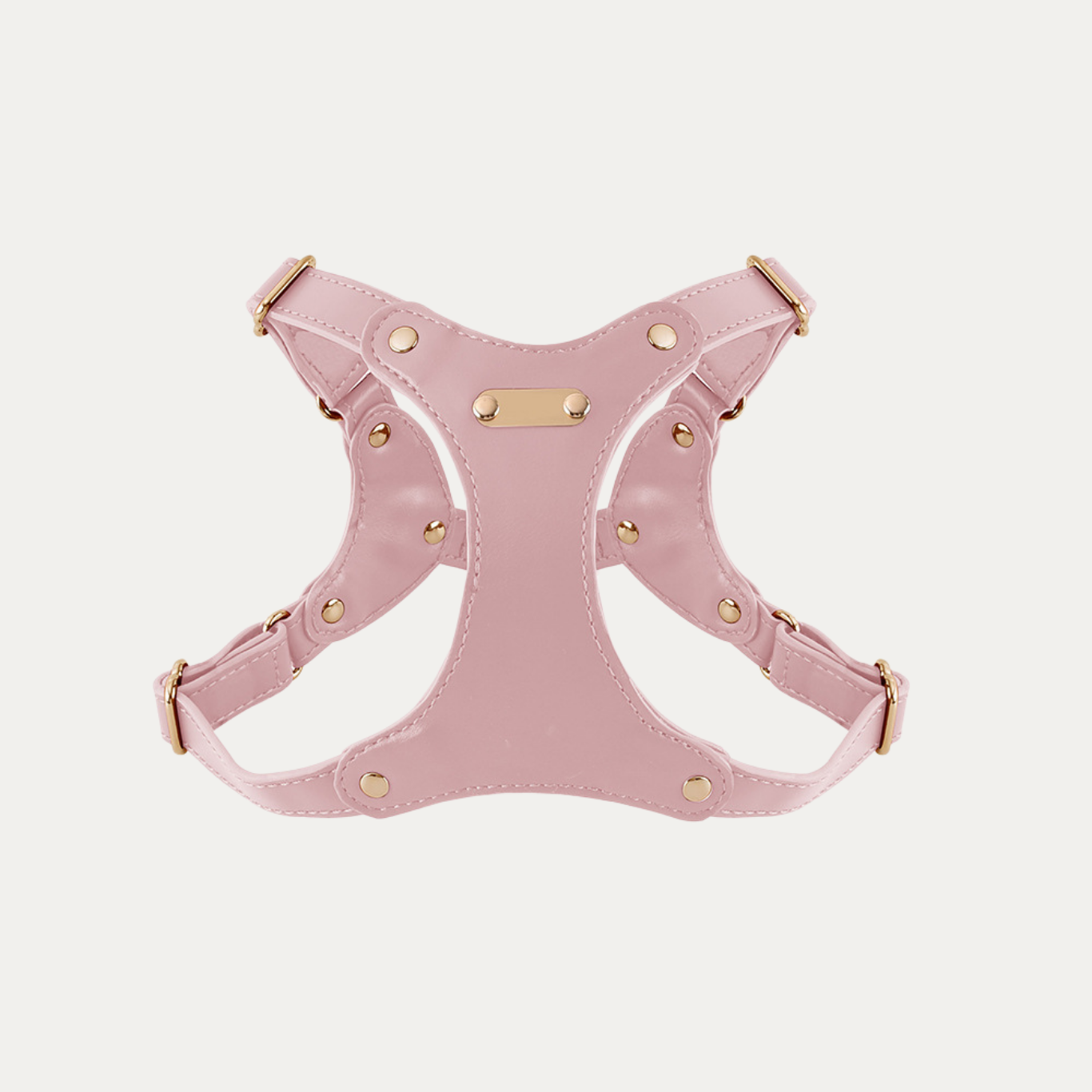 Princess Mia <3 Vegan Leather Harness