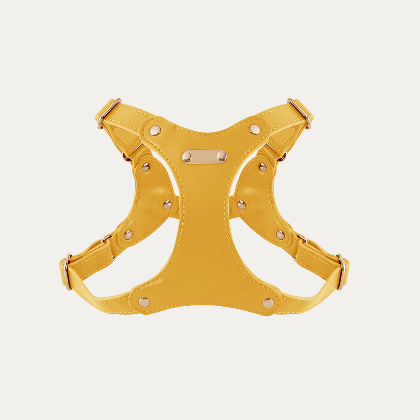 Princess Mia <3 Vegan Leather Harness