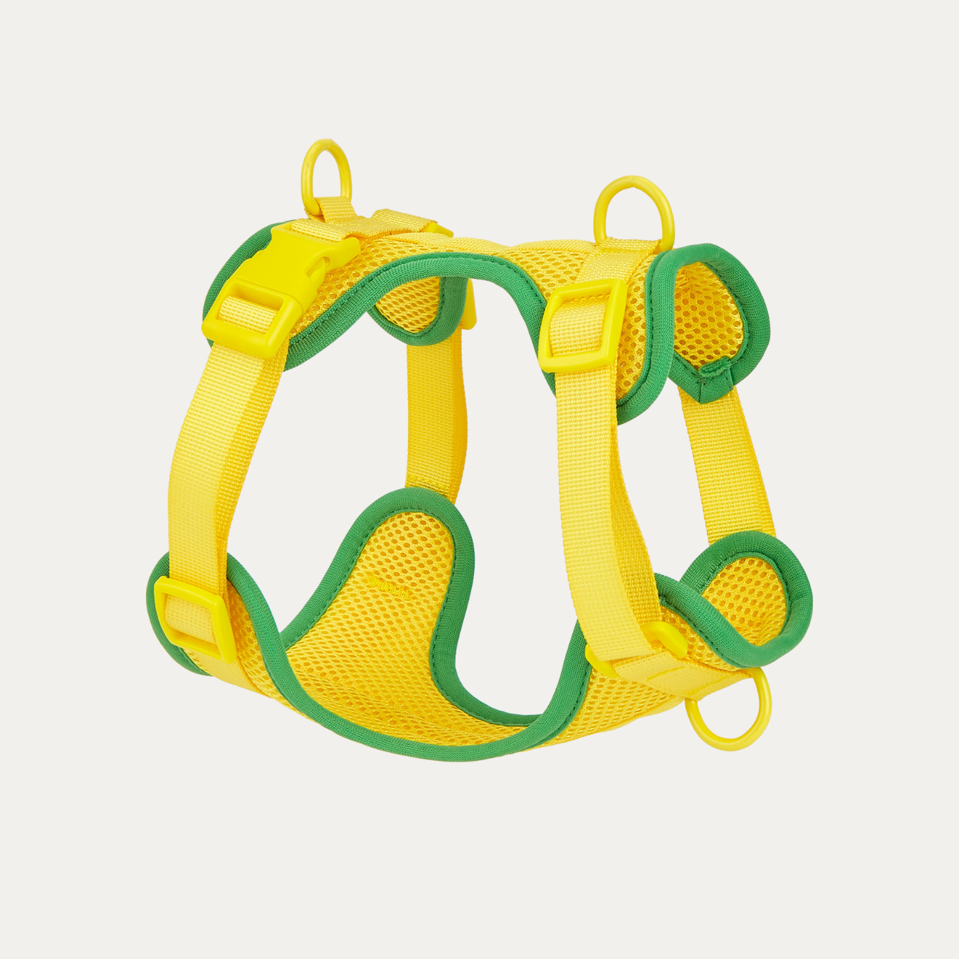 Let's Go Out! Harness