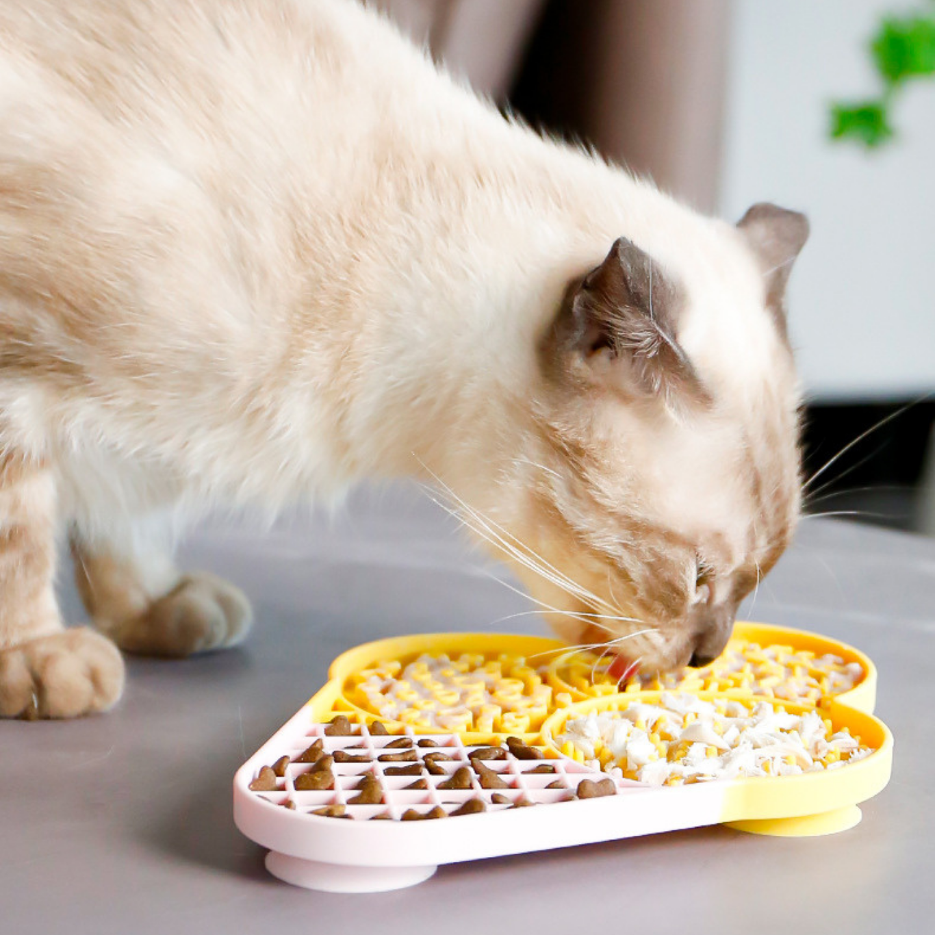 Silicone Slow Feeding Plate