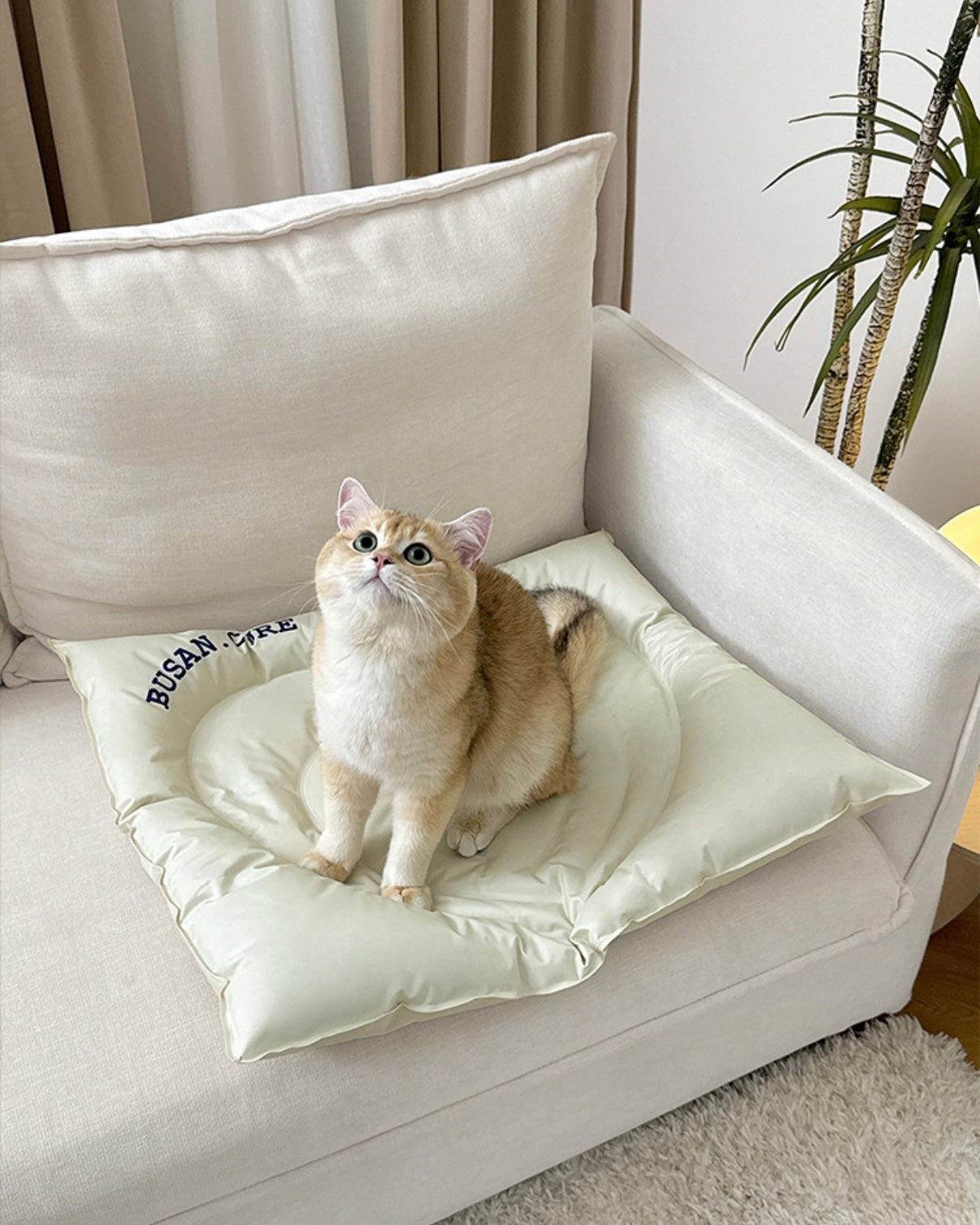 Lovey Dovey Pet Cooling Mat