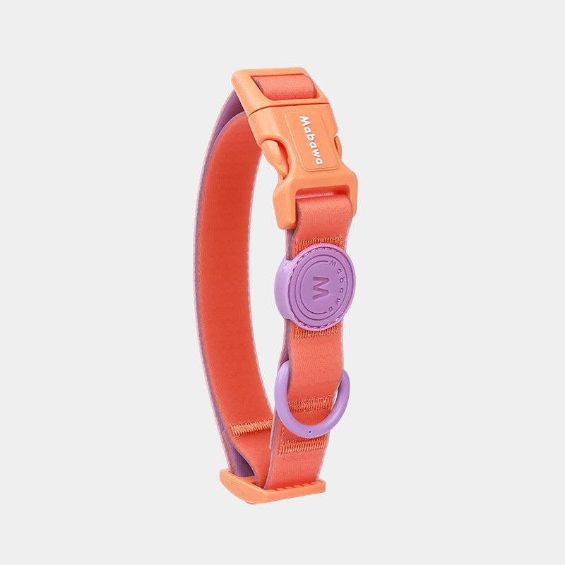 Block Color Collar for Small Dogs