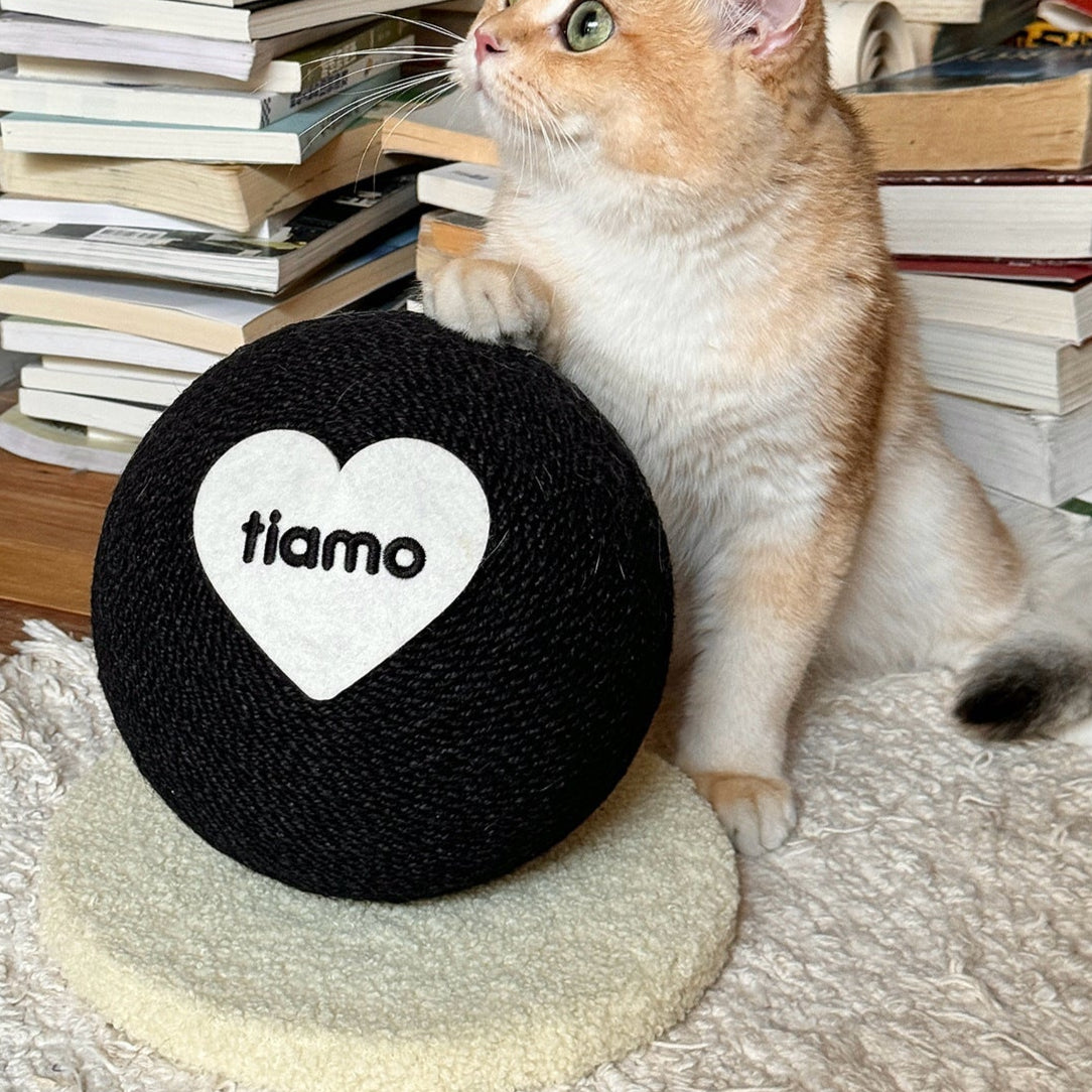 Scartch Ball for Kittens