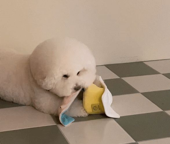 😋 Smiley Cake Treat Hiding Toy