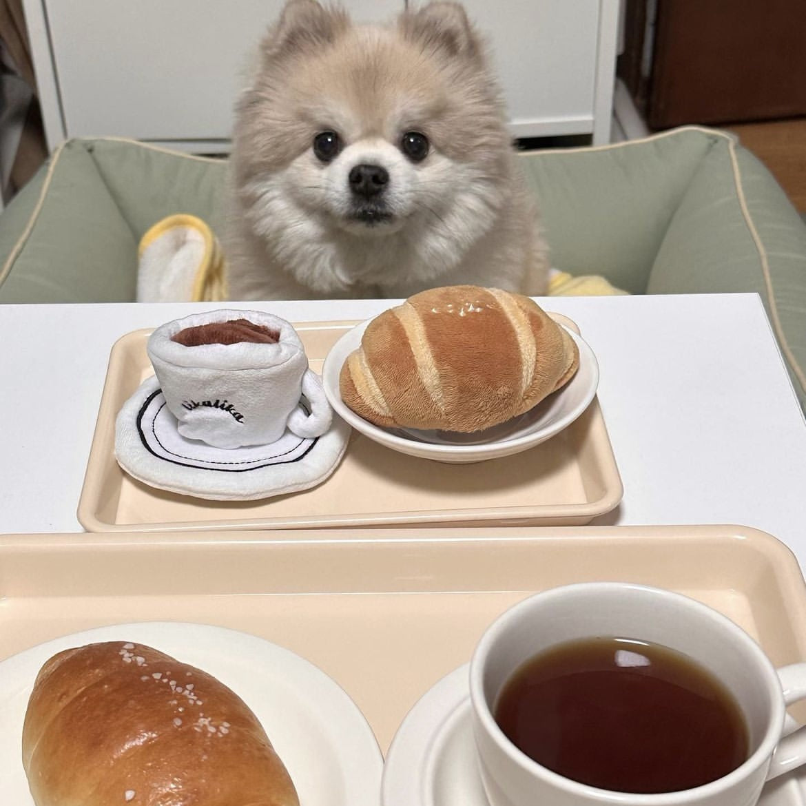 🫖 Pawternoon Tea Set
