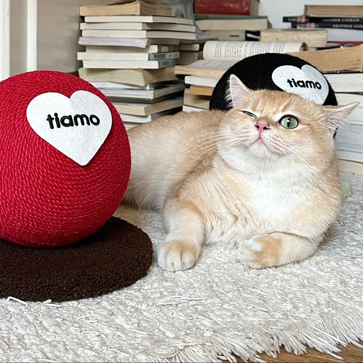 Scartch Ball for Kittens