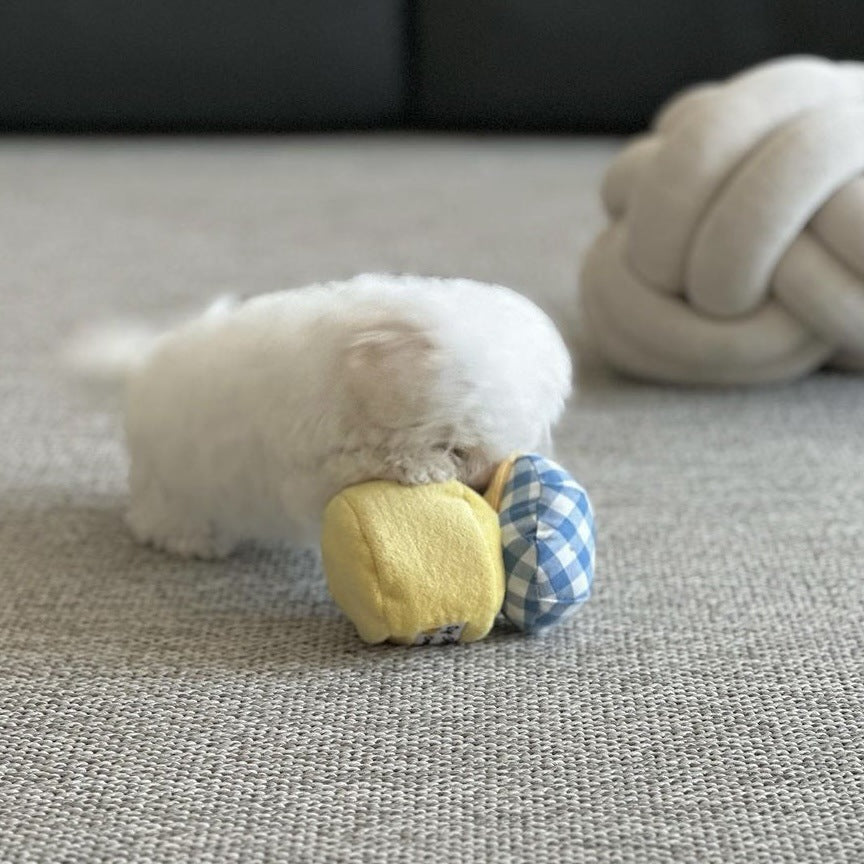 🍓🍊 Jam Dog Sniff Toy