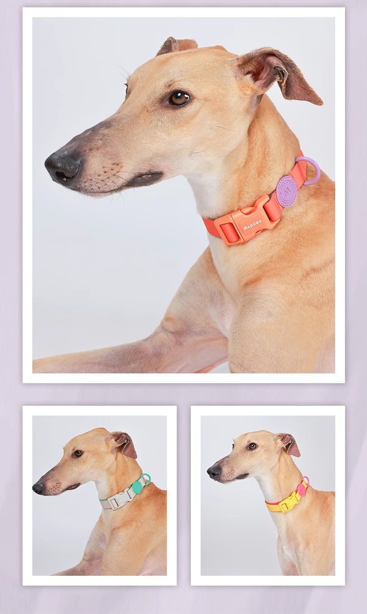 Block Color Collar for Small Dogs