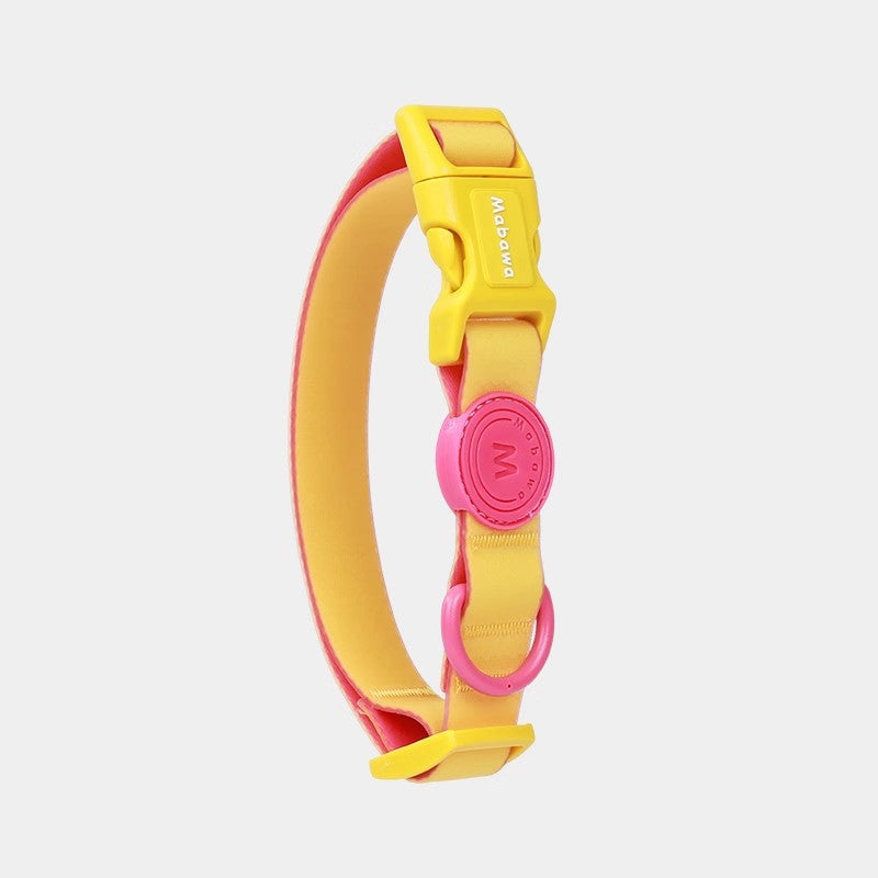 Block Color Collar for Small Dogs