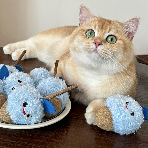 Snowberry Stuff Toy for Grinding Snack