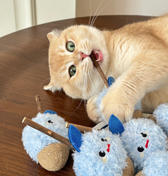 Snowberry Stuff Toy for Grinding Snack