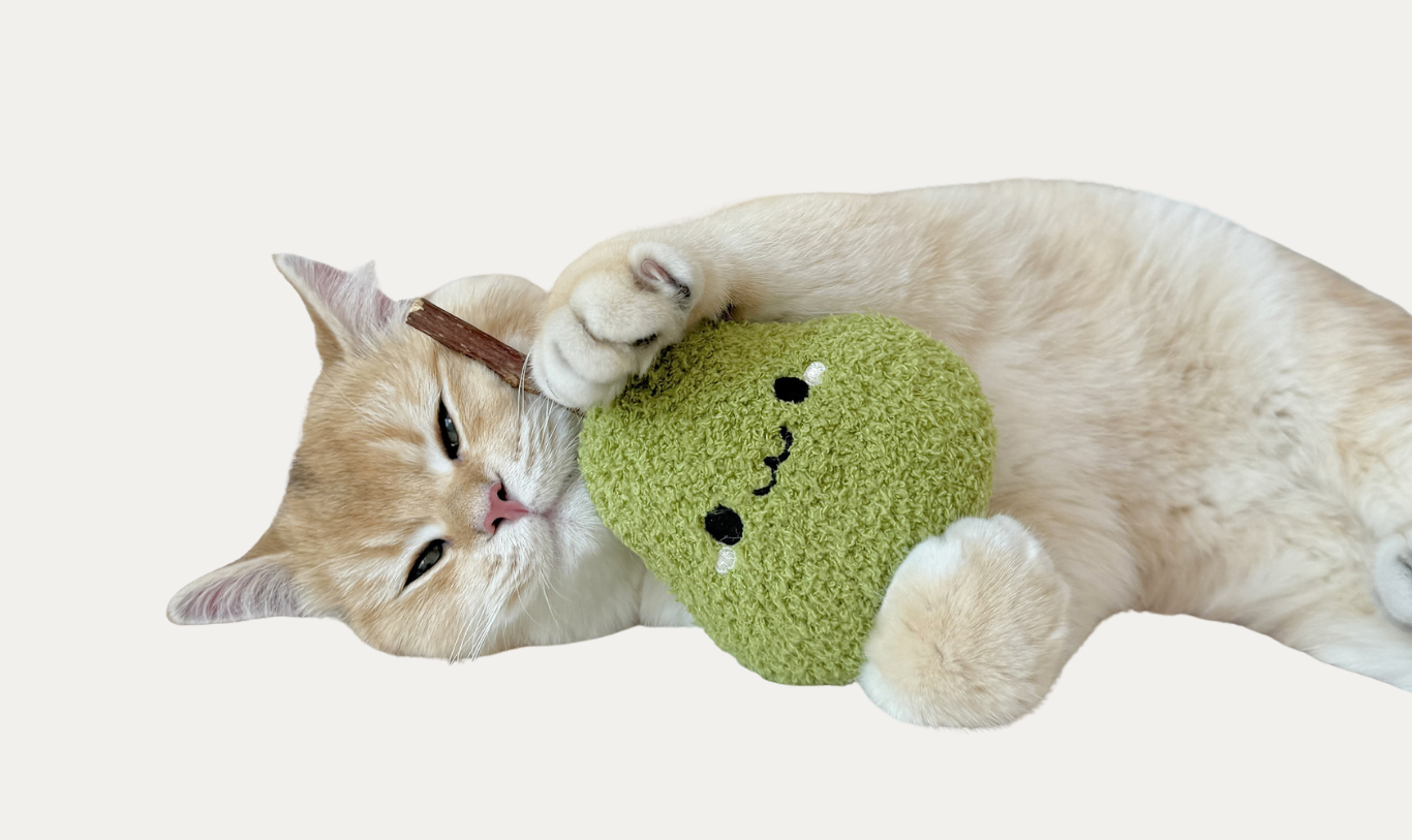 Cat Toys