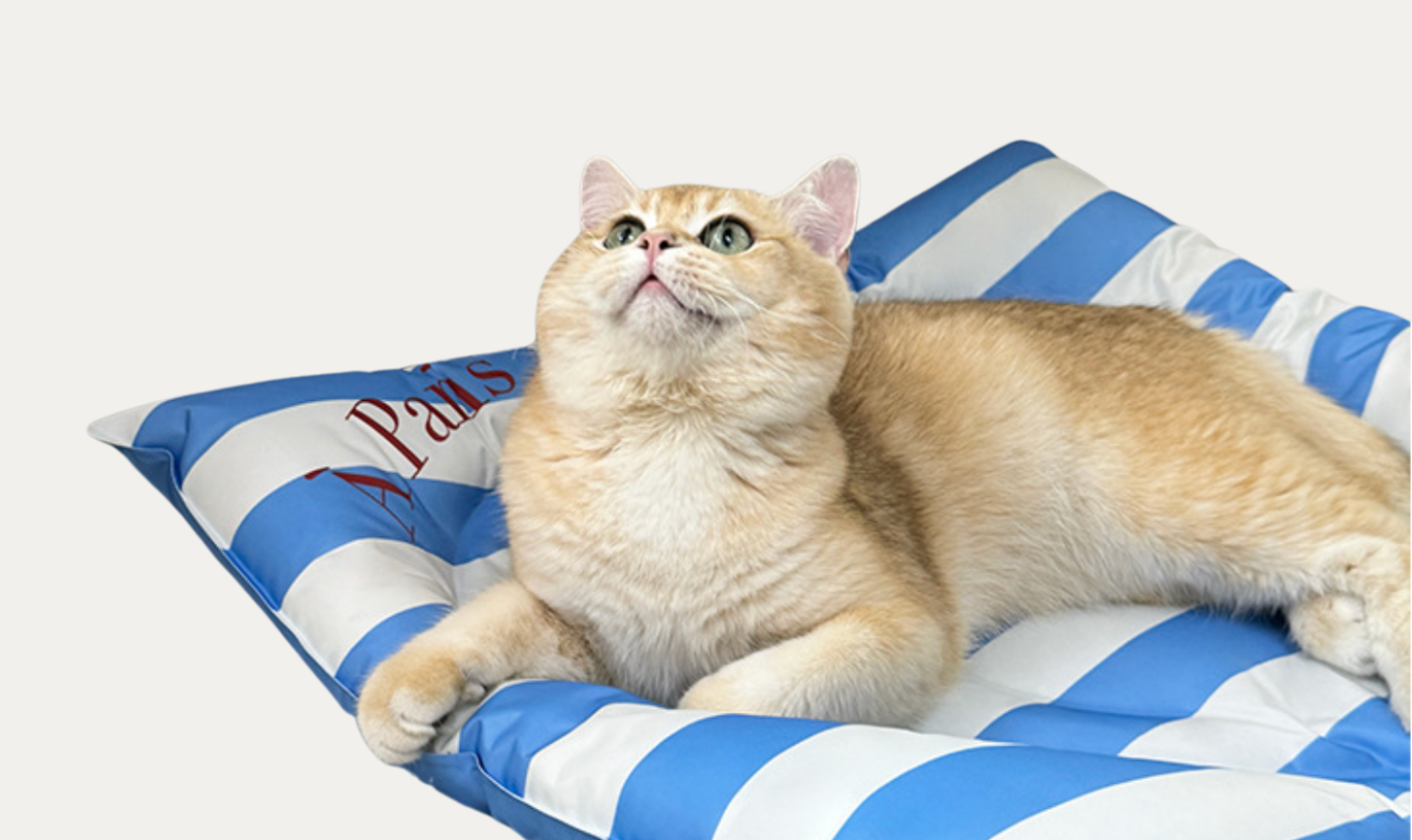 Cooling Mat