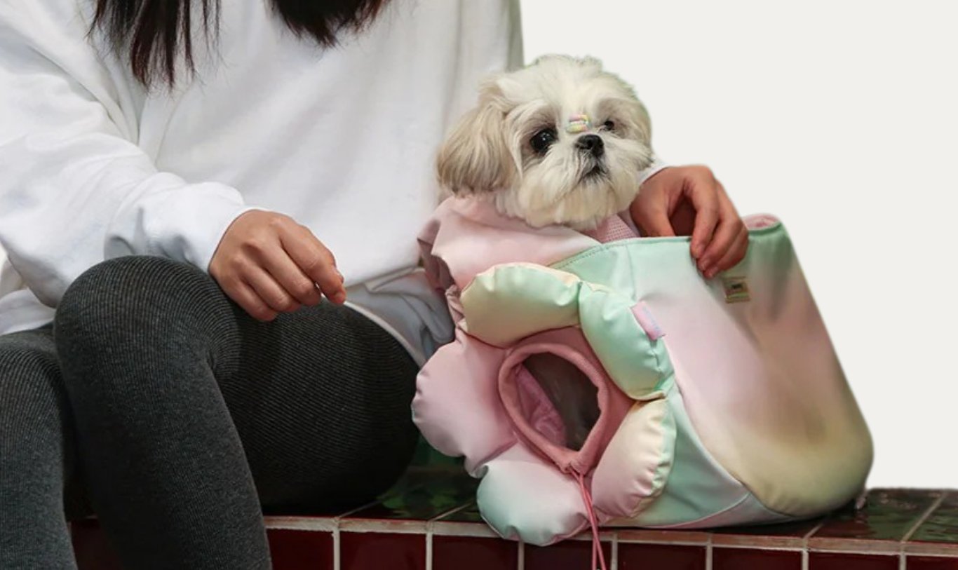 Pet Carriers and Bags