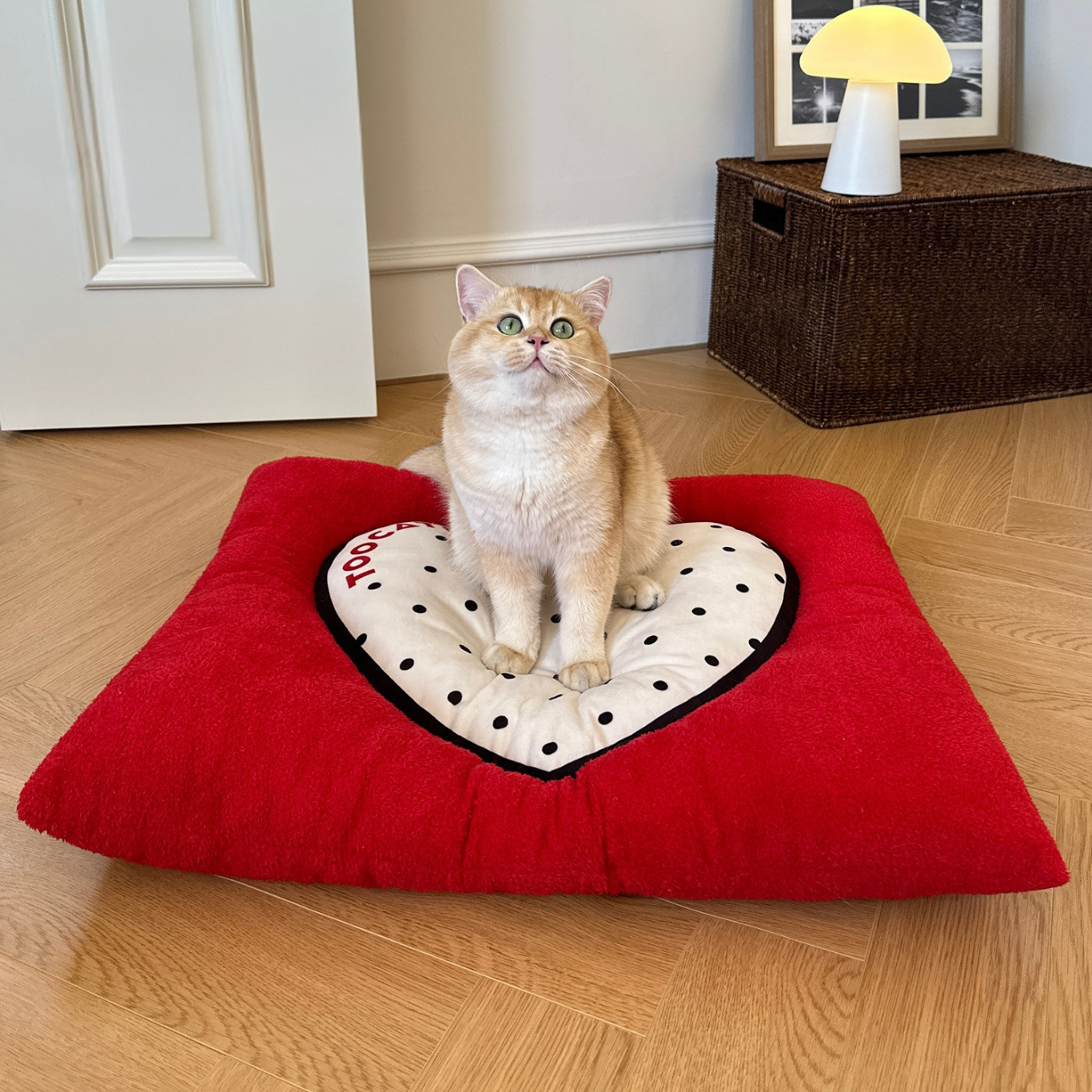I Love You More Plush Cushion