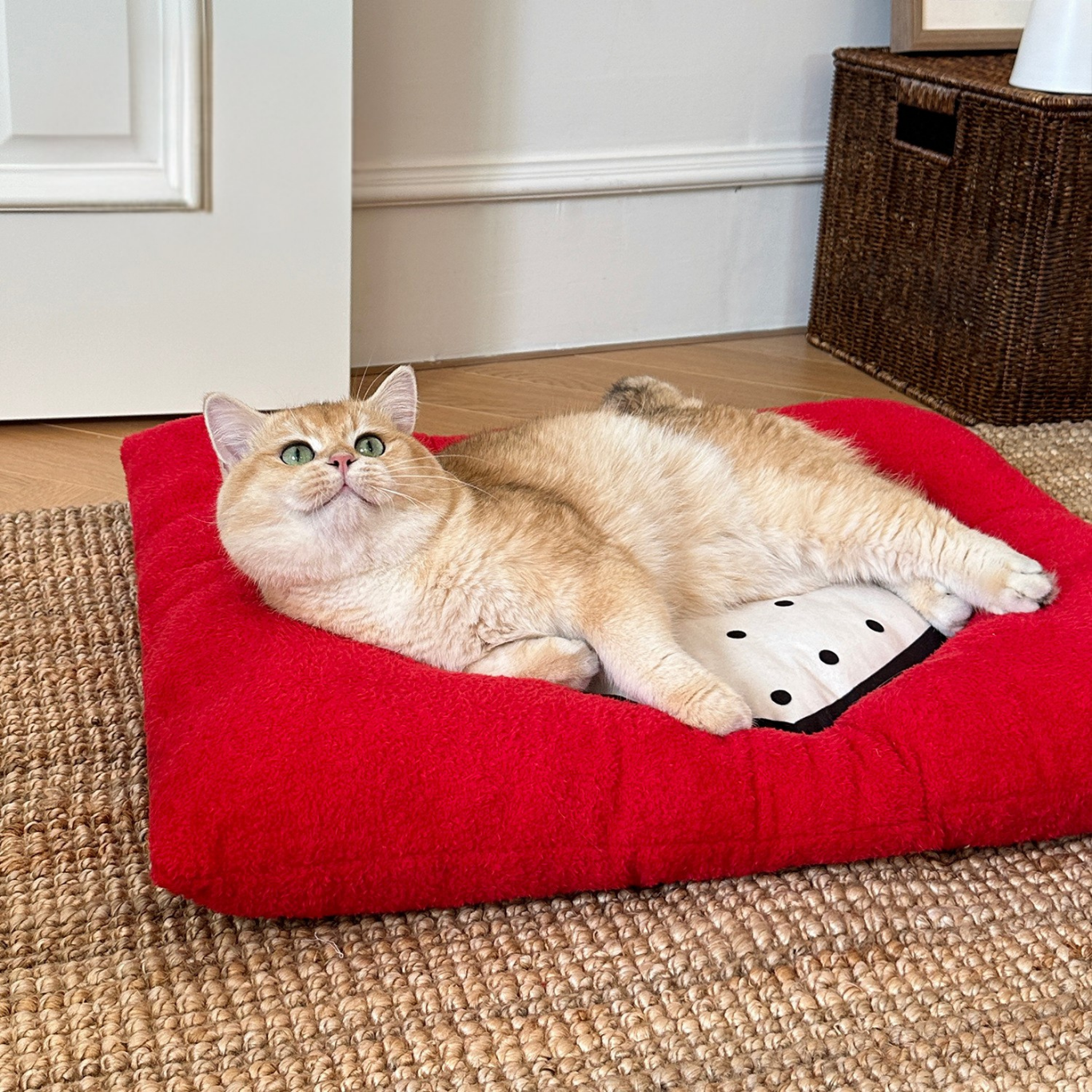 I Love You More Plush Cushion