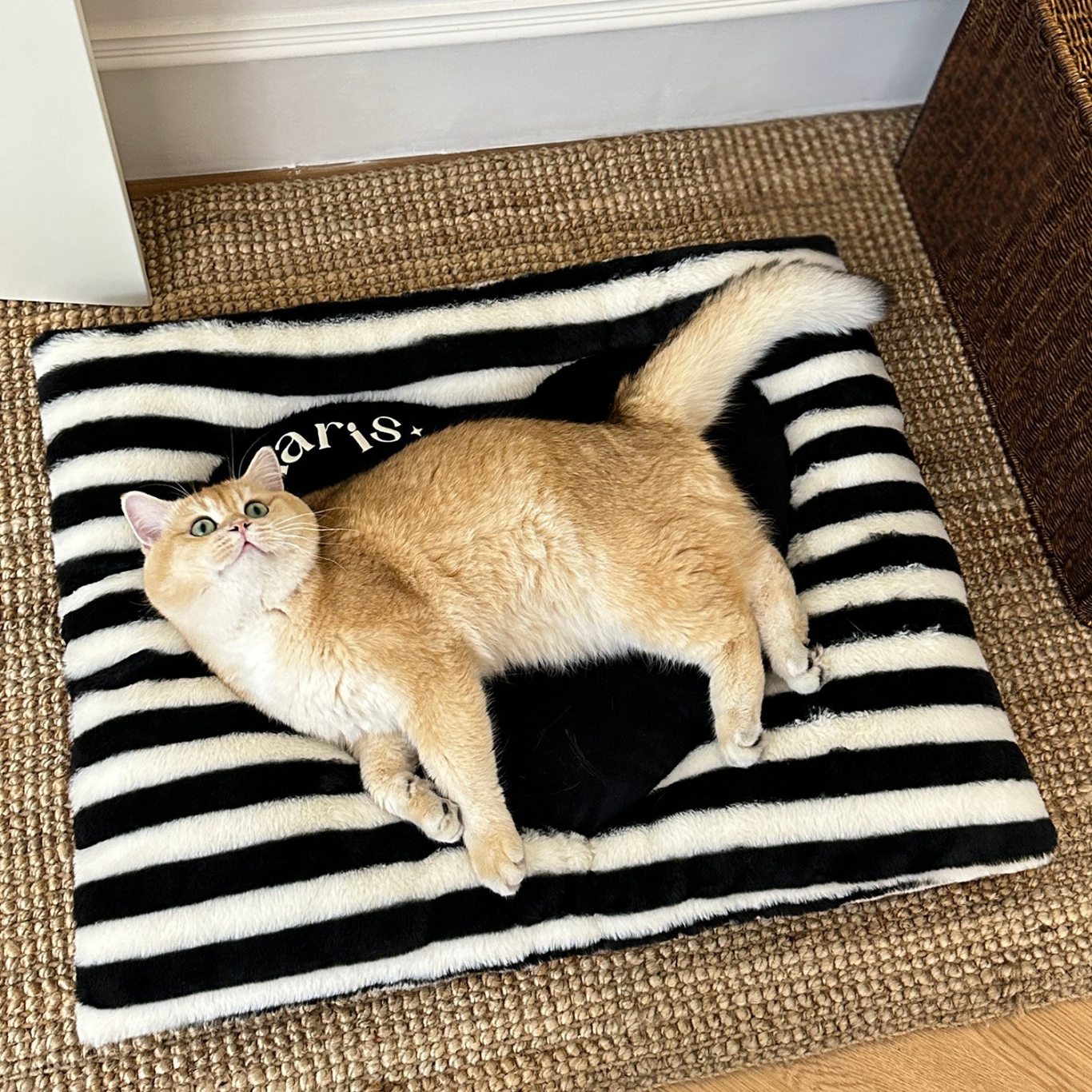 I Love You More Plush Cushion