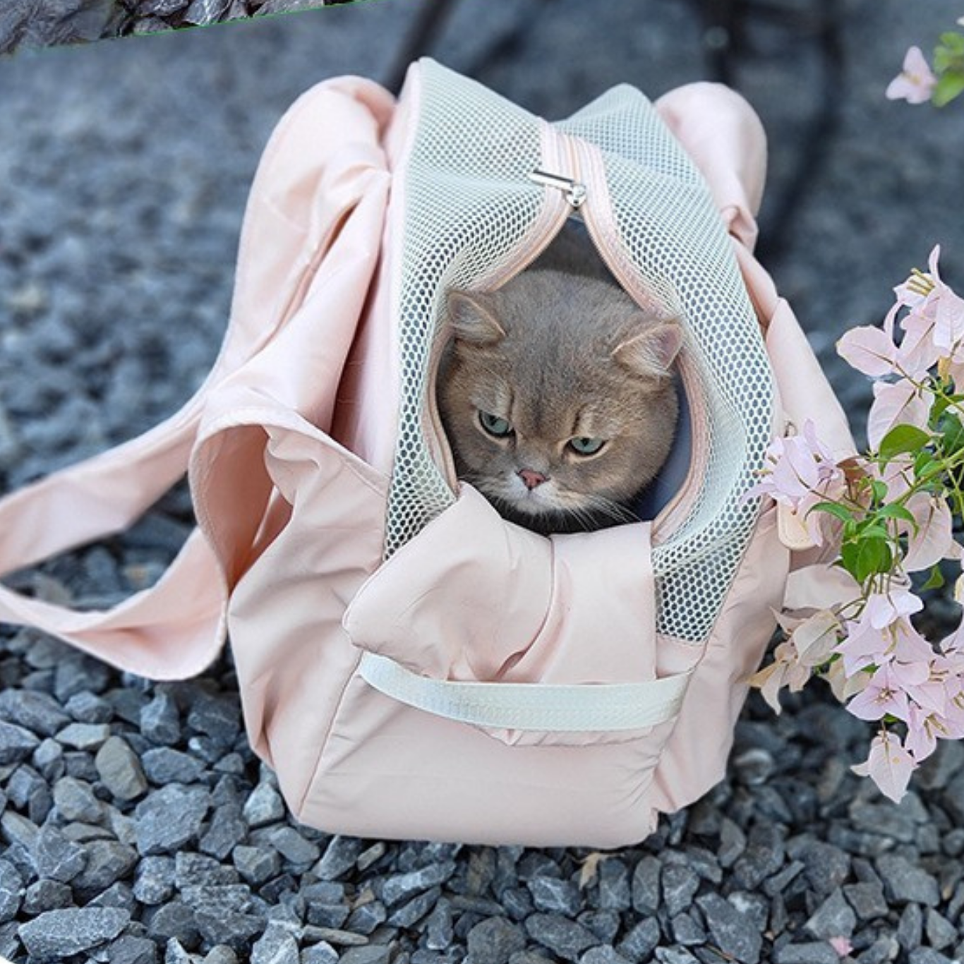 Soft and Sweet 🎀 Pet Tote Bag
