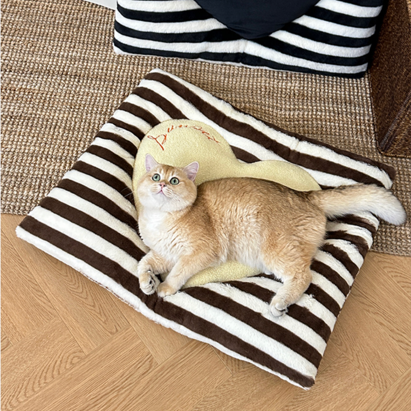 I Love You More Plush Cushion
