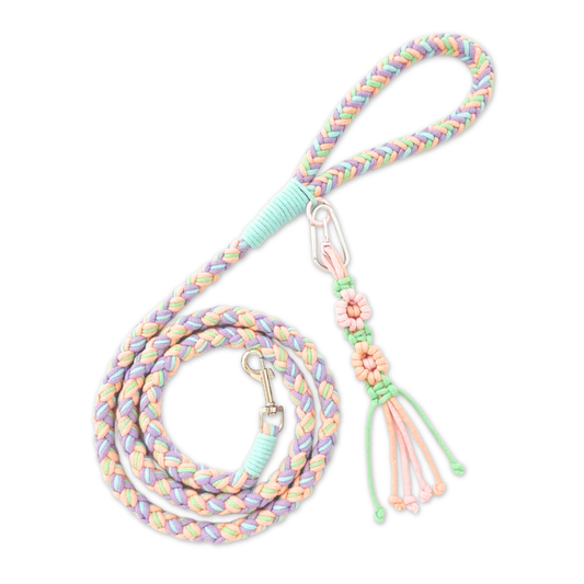 Braided Cotton Leash
