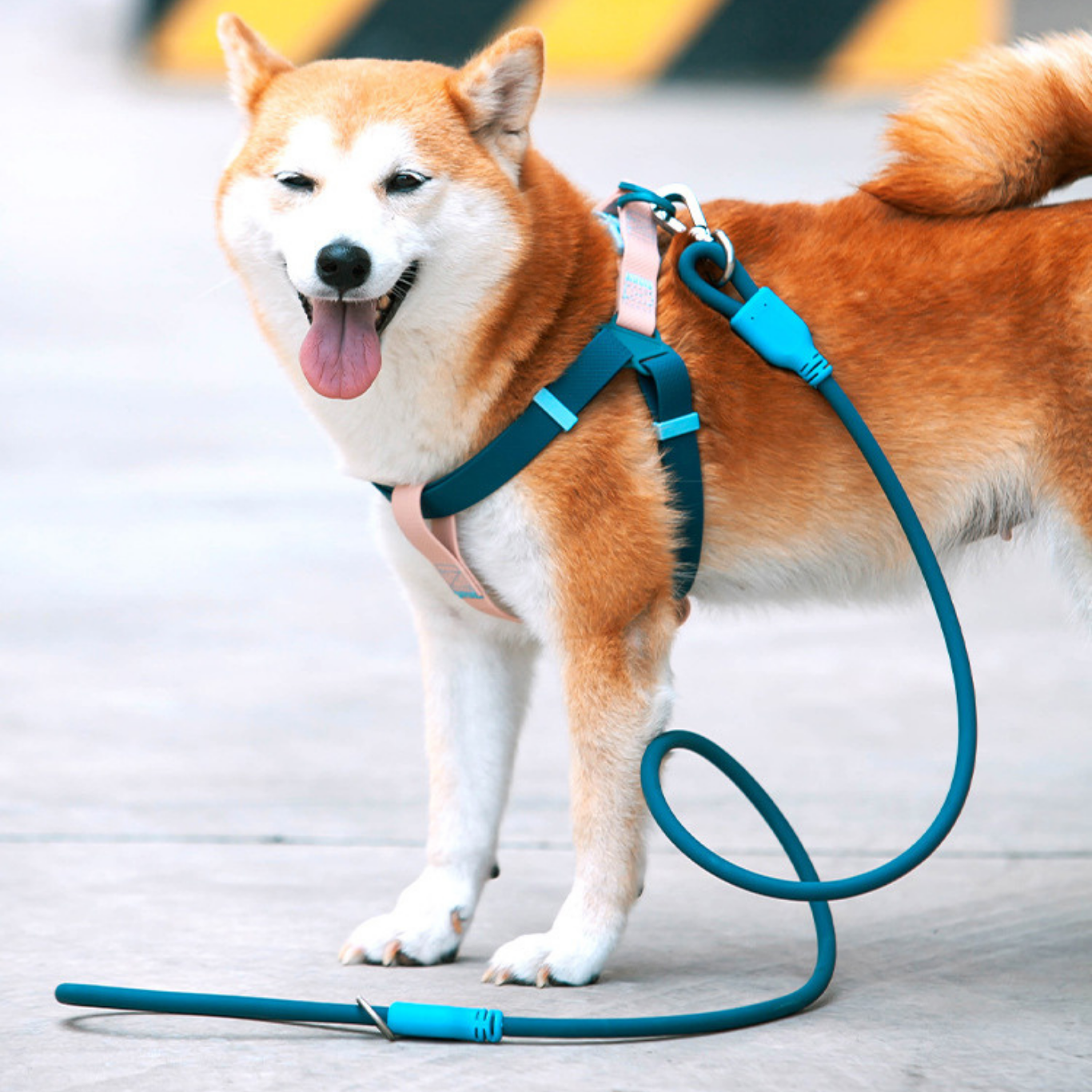 Waterproof Energy PVC Leash