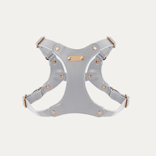 Princess Mia <3 Vegan Leather Harness