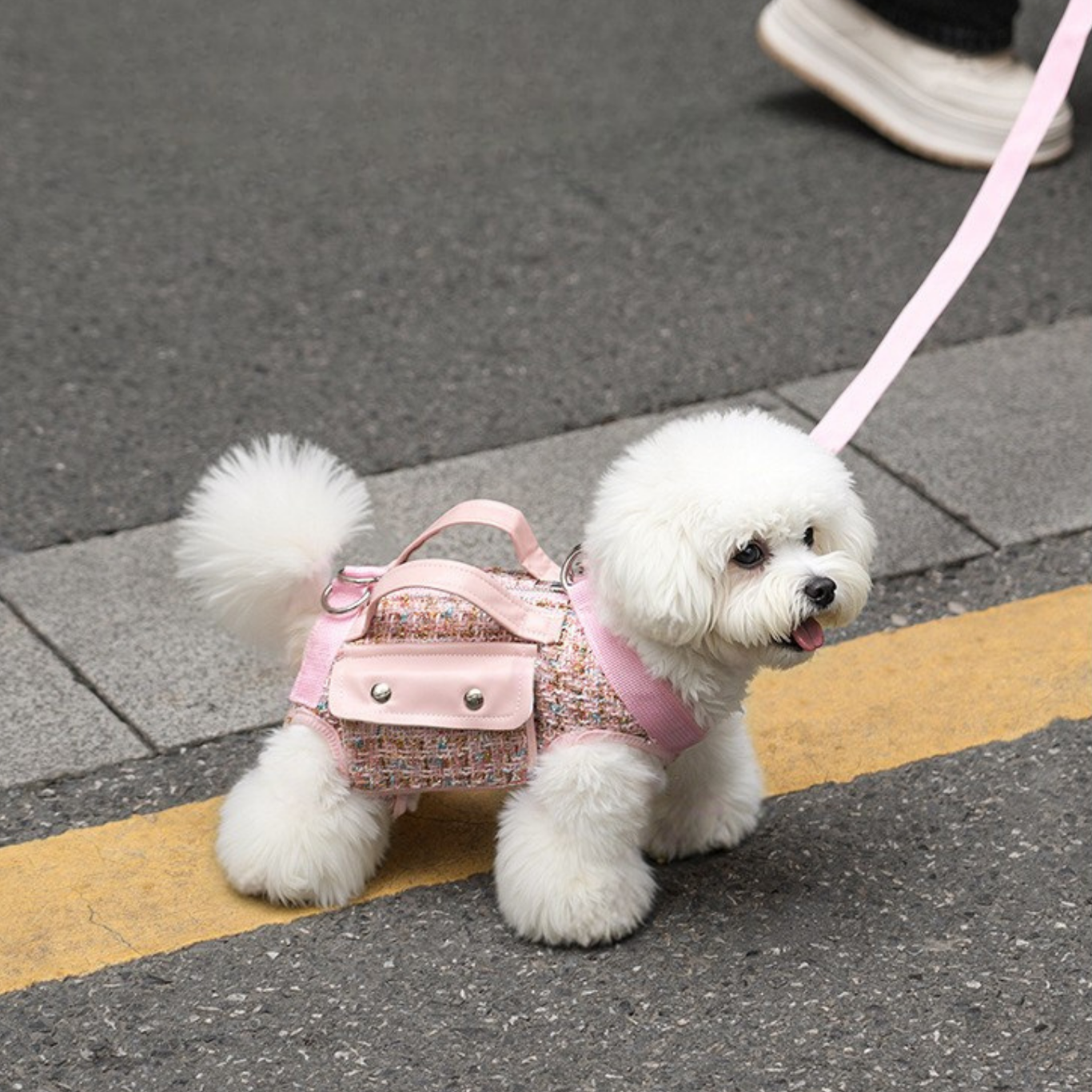 Parisian Tweed Pet Crossbody Harness