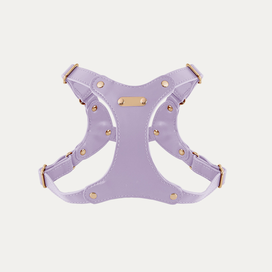 Princess Mia <3 Vegan Leather Harness
