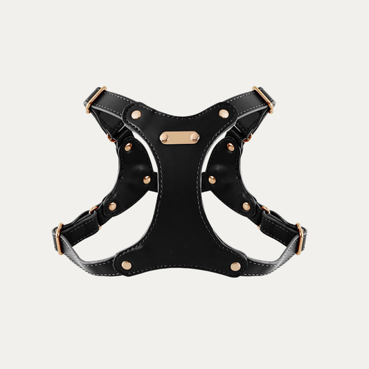 Princess Mia <3 Vegan Leather Harness