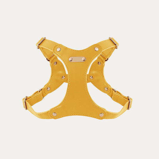 Princess Mia <3 Vegan Leather Harness