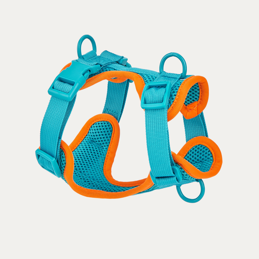 Let's Go Out! Harness