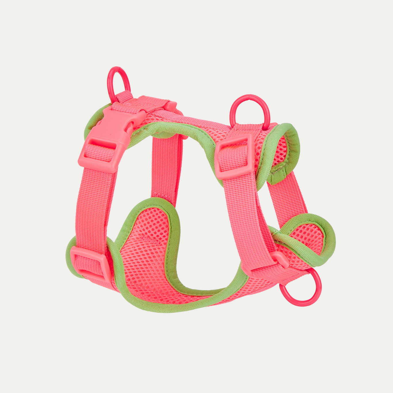 Let's Go Out! Harness