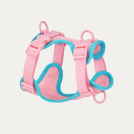 Let's Go Out! Harness