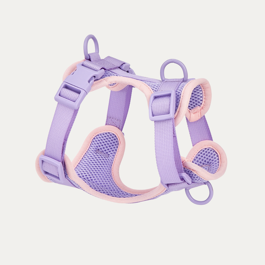 Let's Go Out! Harness