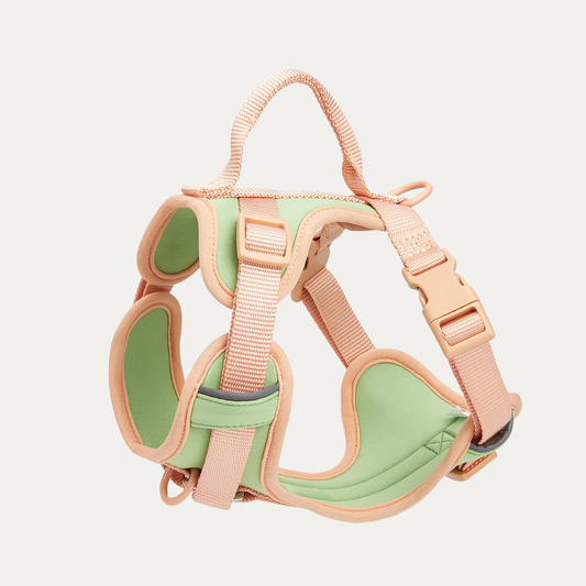 Hold Me Tight! Harness