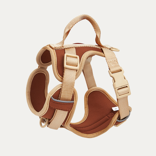 Hold Me Tight! Harness