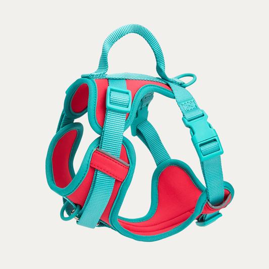 Hold Me Tight! Harness