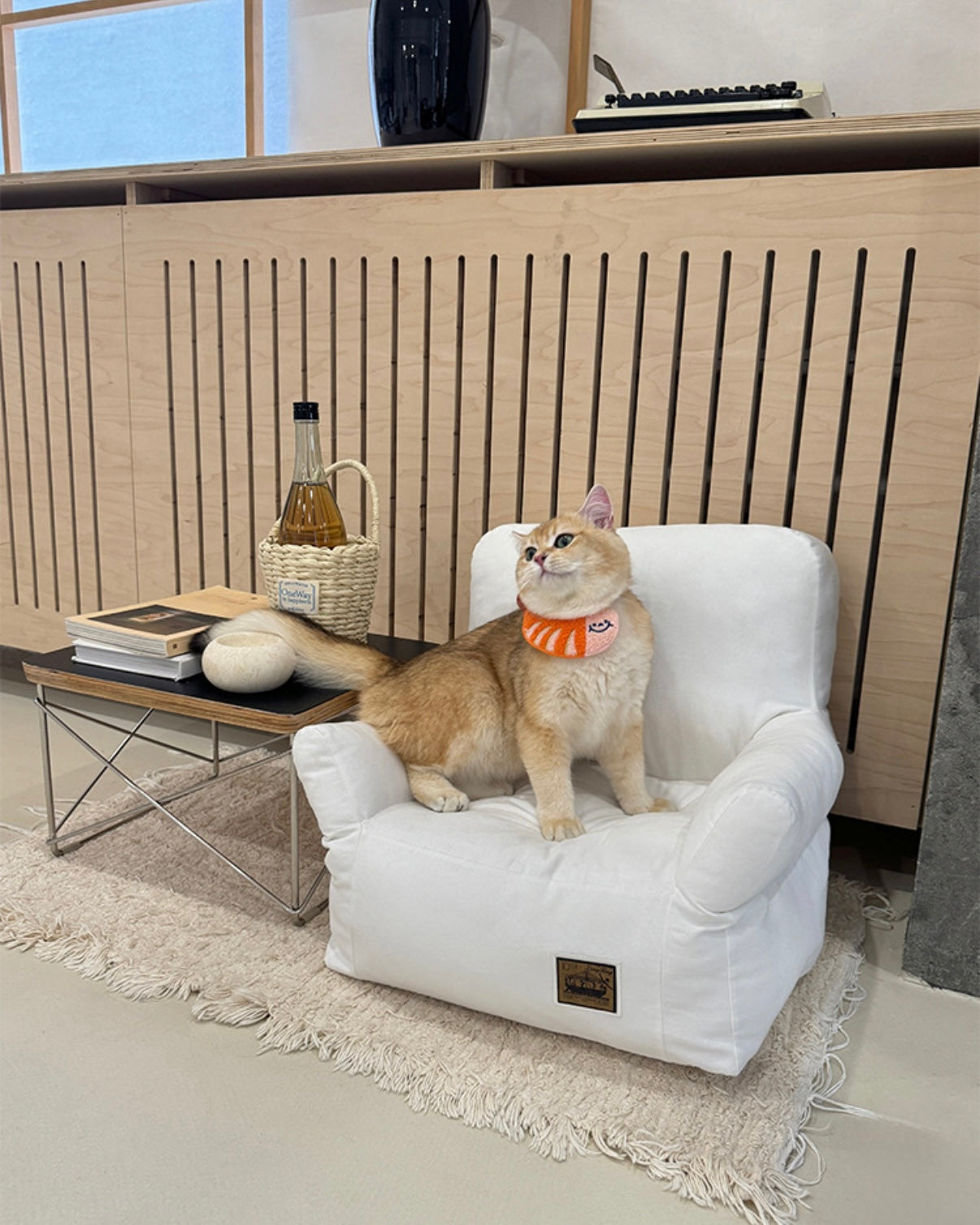 Cozy Pet Lounger Sofa