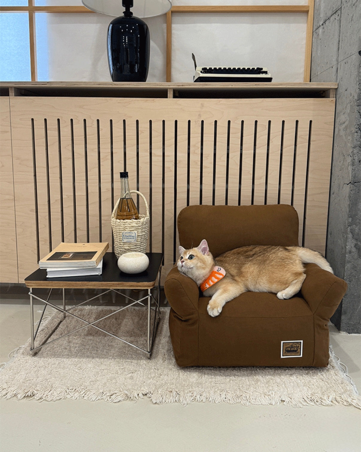 Cozy Pet Lounger Sofa