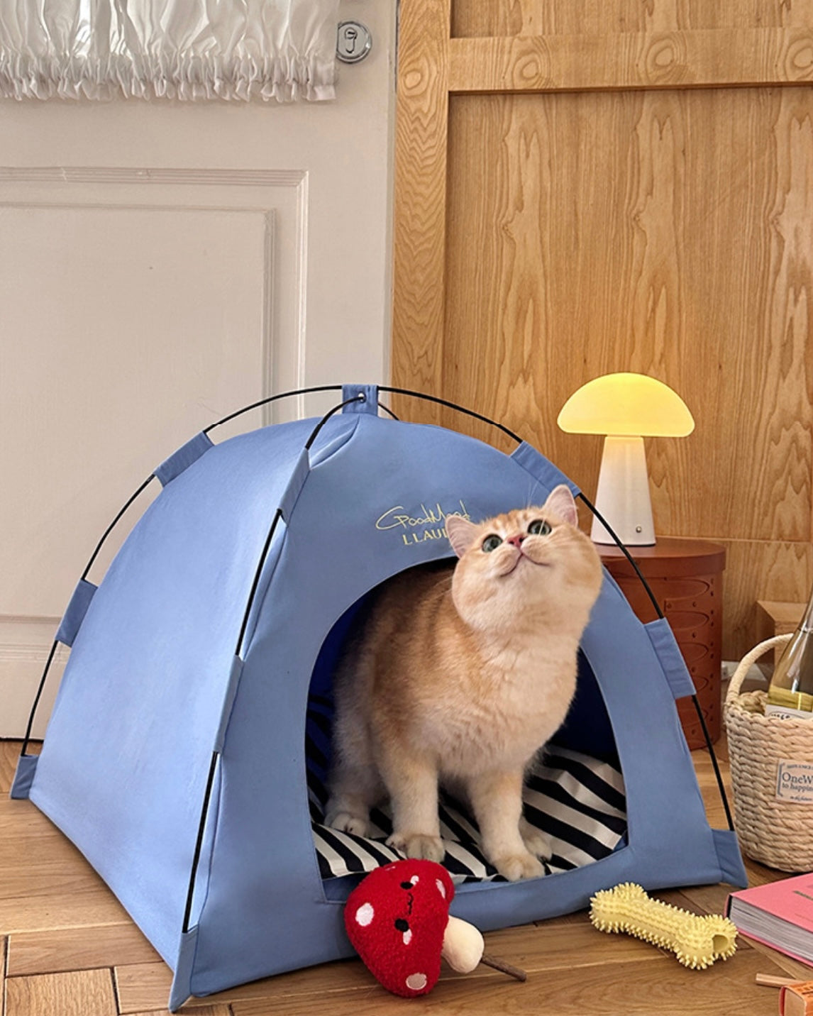 Cat inside a blue pet tent on a wooden floor with a lamp and basket in the background.