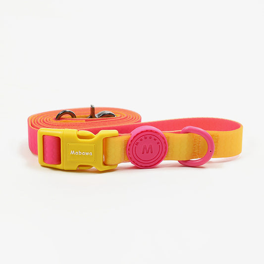 Block Color Leash