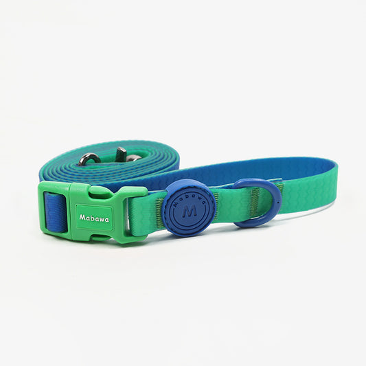 Block Color Leash