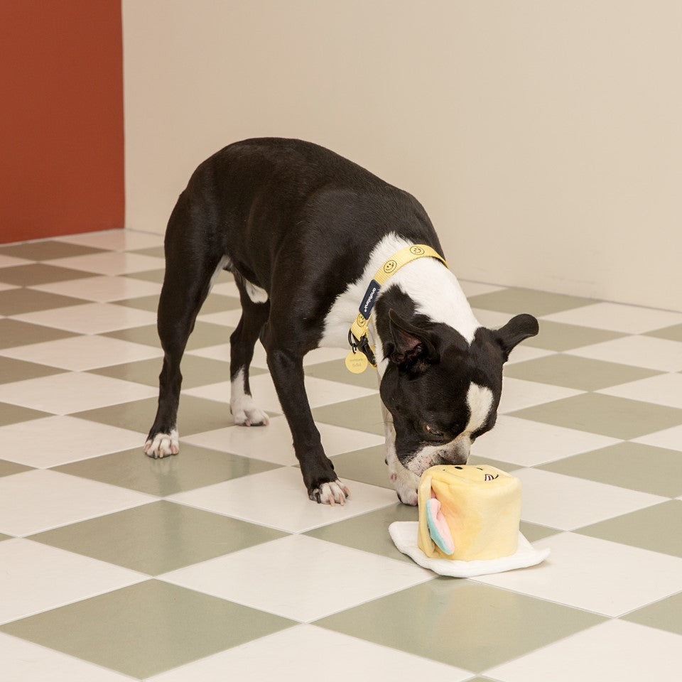 😋 Smiley Cake Treat Hiding Toy