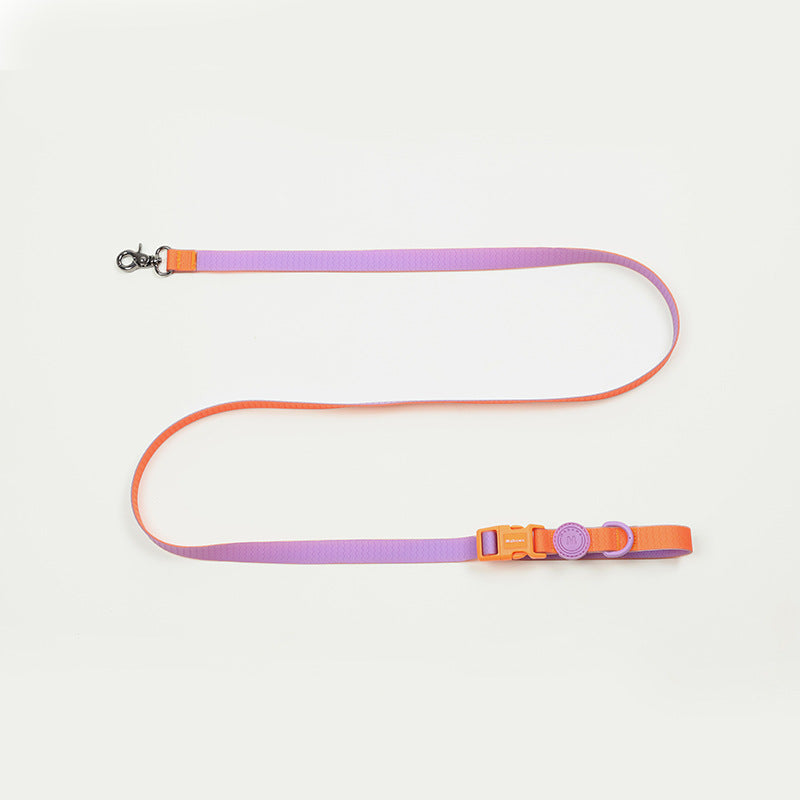 Block Color Leash