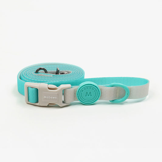 Block Color Leash
